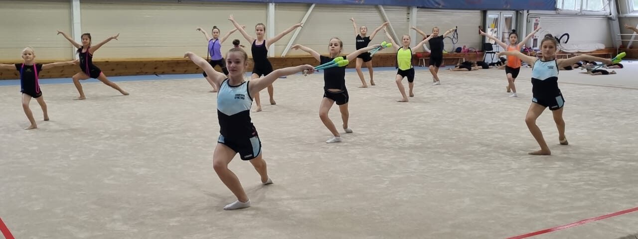 Выбираем ковер для занятий ритмикой