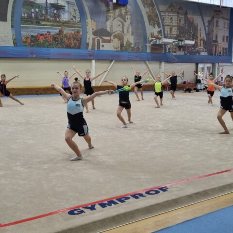 Выбираем ковер для занятий ритмикой