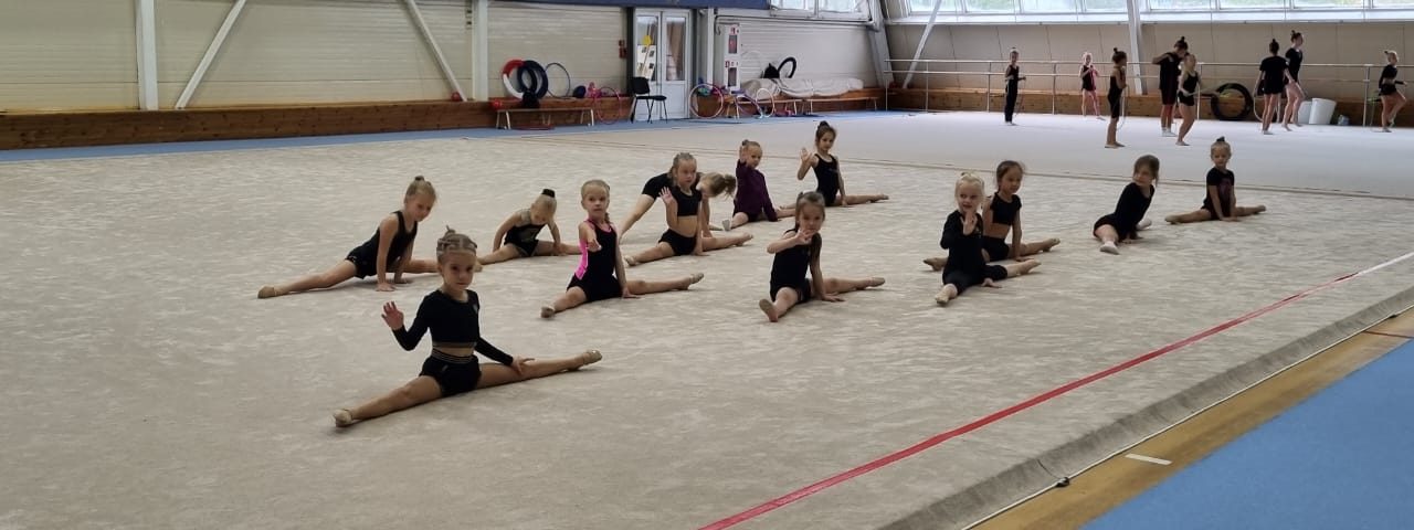 Как выбрать ковер для фитнеса