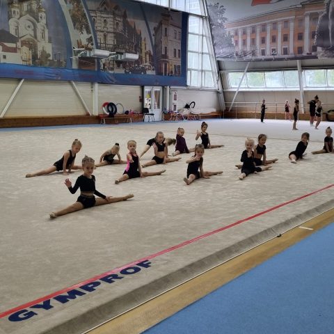 Как выбрать ковер для фитнеса